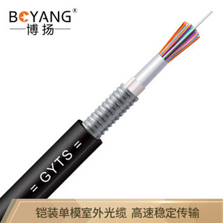 博扬（BOYANG）BY-GYTS-48B1 铠装48芯单模室外光缆 GYTS层绞式室外架空/管道网线光纤线 3000米/轴