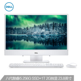 戴尔(DELL)灵越AIO 3480 英特尔酷睿i5 23.8英寸 IPS 窄边框 一体机台式电脑(i5-8265U 8G 256G 1T 2G独显)白