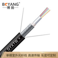 博扬（BOYANG）BY-GYXTW-8B1 8芯单模室外光纤线 GYXTW中心管式室外网线架空光缆 3000米/轴
