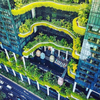 飞猪 全民之选：为什么新加坡网红自由行红不起来？