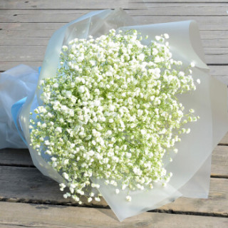 中礼520情人节鲜花韩式白色满天星花束生日鲜花速递全国同城配送花店