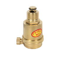 信业 黄铜排气阀 丝口自动螺纹排排气阀门 6分DN20 10只