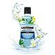 Listerine 李施德林 漱口水 薄荷香草味 500ml *5件