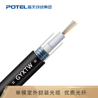 普天汉飞 POTEL 室外单模中心束管式光缆GYXTW-12B1.3 12芯铠装光纤通讯光缆 100米 可定制