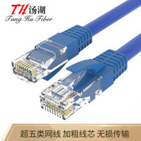 汤湖 超五类网线 15m工程级高速CAT5类百兆电脑宽带连接跳线 成品网线 CW-15