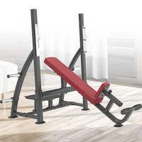 康强奥林匹克上斜练习椅商用健身器材健身房团购综合训练器 Z-6037