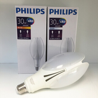 PHILIPS/飞利浦 LED庭院灯泡 经济型LED庭院灯泡 50-50W E27 840 CN 50-50W