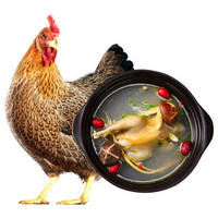 华英 赣南500天散养老母鸡 1.2kg/只 新鲜冷冻 整鸡走地鸡农家土鸡 煲鸡汤