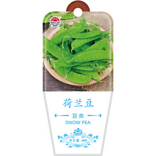 北京东升种业（DS）荷兰豆  蔬菜种子  四季蔬菜 家庭阳台 园艺休闲