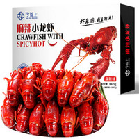 今锦上 麻辣小龙虾 4-6钱/16-25只 净虾500g 海鲜水产
