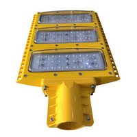 WZRLFB LED路灯 RLB98-b 金黄色 200W