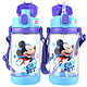 迪士尼婴儿童水杯 宝宝吸管杯夏季带锁扣便携学饮杯（两用）520ML 幽蓝