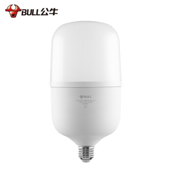 BULL/公牛 柱形灯 柱形灯 40W E27 白光 40W 白光