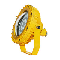 WZRLFB LED防爆泛光灯 RLB156-c 金黄色 40W