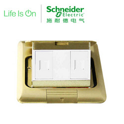 施耐德电气（Schneider Electric)弹出式地面插座 双联超五类电脑地插（不含底盒）铜质光面E225RJ5_2_BAS