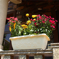 芷郁 树脂加厚浮雕花盆 家用花园阳台庭院蔬菜种植盆园艺用品 特大号米白色