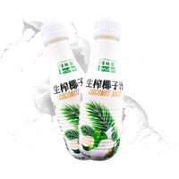 绿林贝 LVLINB 生榨椰子汁 植物蛋白饮料500ML*9瓶