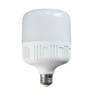 LIGHTINGLBBESTS/捷能星光电 捷能星光电（LIGHTINGLBBESTS）LED灯 LED灯泡 球泡 40W  220V