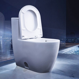 DURAVIT 杜拉维特 217301 喷射虹吸式连体马桶 305mm坑距