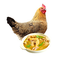 京东PLUS会员：京华生鲜  散养2年老母鸡 净重约1.1kg/只 赠送炖鸡料包+鸡胸肉200g *2件