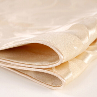 太湖雪 床品家纺 真丝枕套 100%桑蚕丝绸单面枕头套 单个装 凤尾花-米 48*74cm