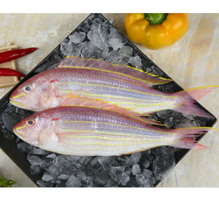 海南金线鱼 400-500g 1条 袋装 海鲜水产