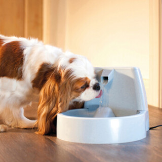 贝适安(PetSafe)Drinkwell经典款宠物喷泉饮水器 循环活氧智能饮水机 猫咪狗狗水盆喂水器 1.5L
