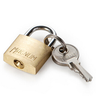 玛斯特（Master Lock）黄铜迷你挂锁家用橱柜宿舍衣柜日记本挂锁CAD20MCN