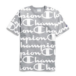 champion t1919s