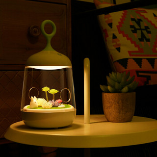OUTRACE/奥其斯 植物灯 LED植物小夜灯 1W(8*0.125W/颗LED)