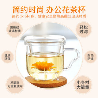 雅集 茶杯 芳铭杯耐热玻璃水杯子办公过滤透明杯子250ml