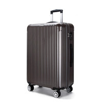 antler 安特丽 商务男女拉杆箱 24英寸行李箱万向轮密码箱 PC旅行箱包子PC托运箱 A843 铜色