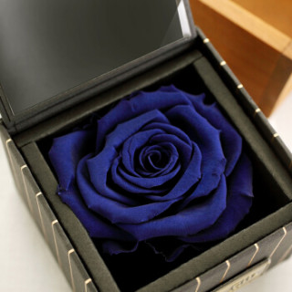 para ella永生花玫瑰花礼盒深蓝色同城鲜花速递520情人节鲜花礼物生日