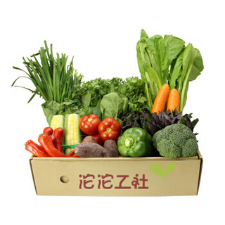 沱沱工社 有机蔬菜礼盒 约5kg  新鲜蔬菜