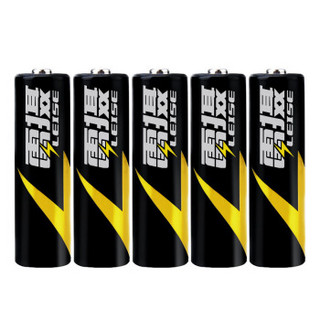 雷摄（LEISE）充电电池 5号1300毫安五号镍氢充电电池(二十节)适用：玩具车/挂钟/鼠标键盘（无充电器）