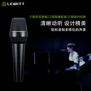 LEWITT/莱维特 MTP 940专业演出直播手持录音电容麦克风主播舞台K歌话筒户外唱歌家用有线k歌喊麦