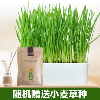 心居客活性炭除湿袋230g*10袋+洁厕液500ml*2瓶装