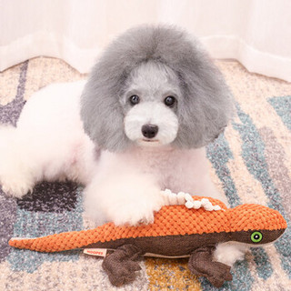 华元宠具（hoopet）狗狗玩具泰迪比熊磨牙橘色蜥蜴发声玩具互动益智宠物猫玩具