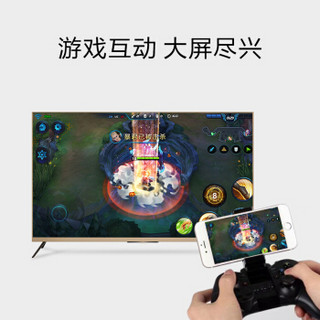 毕亚兹 苹果安卓Type-C转HDMI/VGA视频转换器 同屏器 手机/平板/ipad连接投影仪电视显示器 ZH30-黑