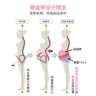 犬印本铺（INUjIRUSHI）盆骨矫正带 24h睡眠型孕妇产后使用柔软耻骨矫正骨盆带 黑色_M码