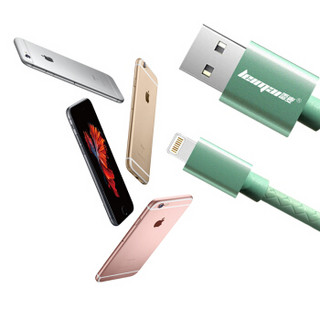 雷麦 苹果数据线 8/7/6手机充电线 适用于iphone6/6s/Plus/7/8/X/iPad/Air/Pro 快充版 1米 薄荷绿