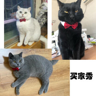 吉仔仔 宠物领结 狗狗猫咪结婚饰品 生日礼物红领结 喜庆节日红蝴蝶结小狗猫咪领结 S