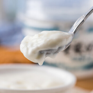 友芝友 汉口老酸奶预制杯 140g