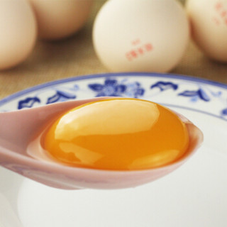 鹏昌 欧米伽3鸡蛋 40枚 礼盒装 喂养深海鱼油、亚麻籽搭配谷物