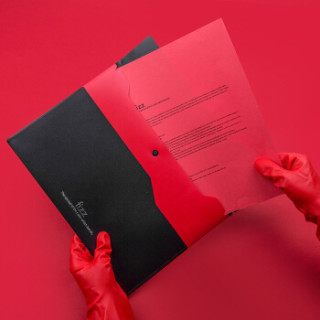 飞兹(fizz)加厚双层按扣文件袋/彩色档案袋资料袋/办公用品 红色fz10