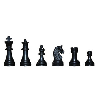 盛玉 国际象棋黑白色磁性可折叠便携成人儿童学生培训教学用棋 大号