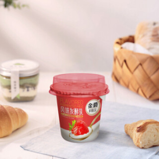 友芝友 金爵鲜酪乳 210g*1 草莓果粒酸奶酸牛奶