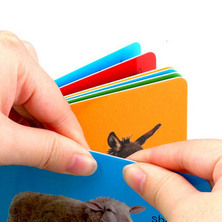 猫贝乐（MAOBEILE）圈圈书 翻翻书早教书婴幼儿童看图识字拼音认知卡片早教益智玩具0-3岁 18本套装