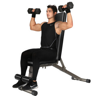 驰尚 V303X2平面纹 多功能可调可折叠哑铃凳健身椅折叠飞鸟凳腹肌板家用健身器材 香槟色平面纹