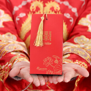 极度空间Dzone（JDKJ）婚礼喜糖盒子纸盒糖果盒结婚婚庆用品结婚喜糖包装袋 大号流苏款30个装